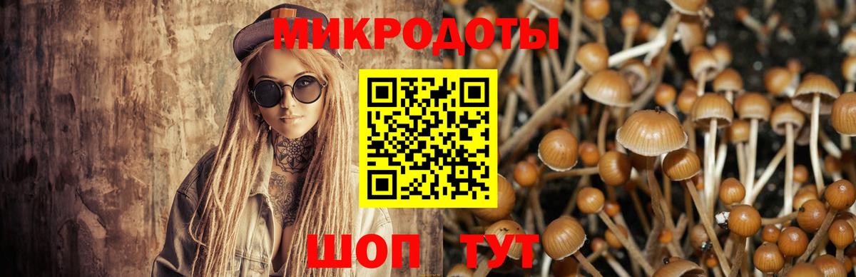 Галлюциногенные грибы прущие грибы  Вход с VPN  Малоярославец  Псилоцибиновые грибы мухоморы 